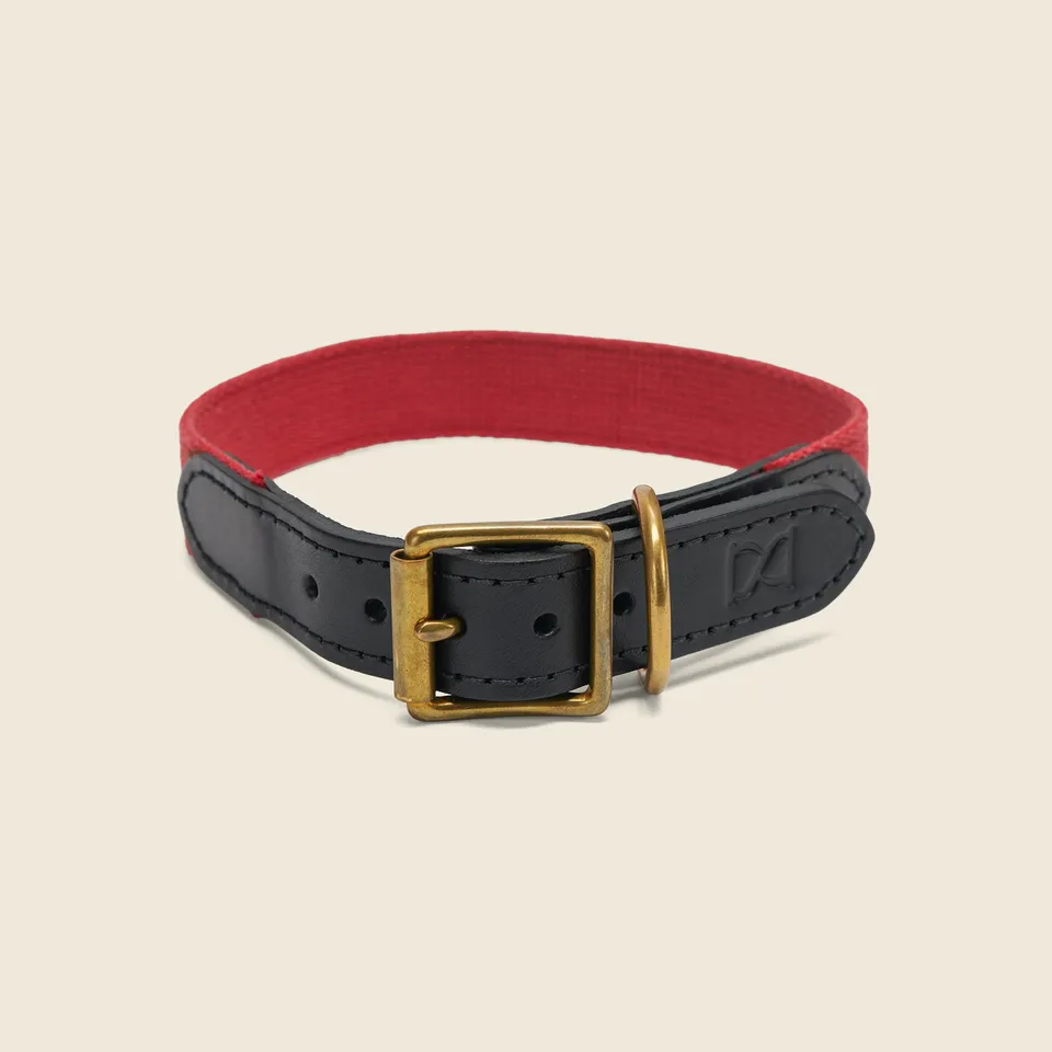 Chapman Webbing Dog Collar hundehalsbånd rød M